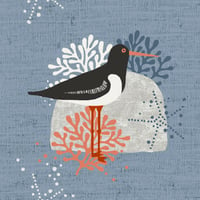 Image 4 of OYSTER CATCHER OCEAN GREETING CARD