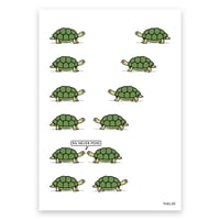 Image of A4 Turtles