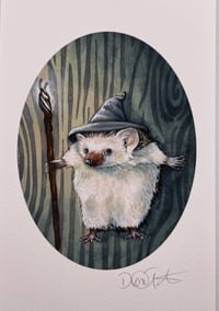 Image 1 of Gandalf Hedgehog Cosplay Print