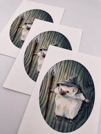 Image 2 of Gandalf Hedgehog Cosplay Print