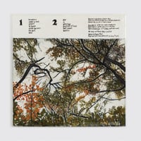 Image 2 of Waxahatchee “Ivy Tripp”
