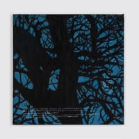 Image 2 of The Sundays “Static and Silence”