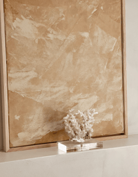 Image 1 of Octopus Coral