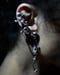 Image of SILVER EAR WRAP_Papaver Rhoeas