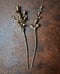 Image of LONG HAIRPINS_Papaver Rhoeas