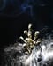 Image of LONG HAIRPINS_Papaver Rhoeas