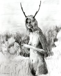 The Deer Pt. 1