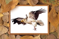 Image 1 of Tylwyth Teg