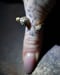 Image of BRONZE RINGS_Papaver Rhoeas