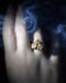 Image of BRONZE RINGS_Papaver Rhoeas