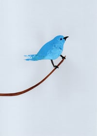 Image 1 of Animals