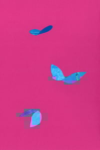 Image 1 of Butterfly