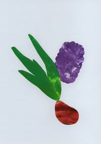 Image 2 of Hyacinth