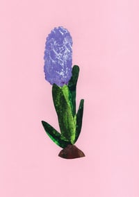 Image 1 of Hyacinth