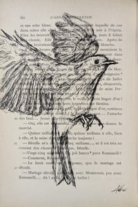 Image 2 of Antique Book Project - The Thrush Knocks