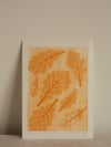 Oak Leaves 02 - Ghost - Botanical Monoprint - A5