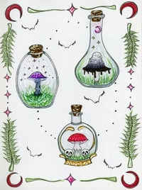 Image 2 of Shroom Potions Giclee Print