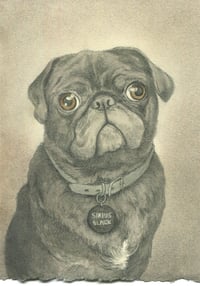 Image 3 of Original Art: Custom 4x6 Pet Portrait