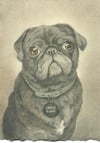 Original Art: Custom 4x6 Pet Portrait