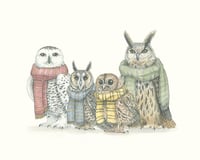 Owls in Scarves 8x10 print