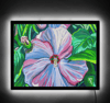 Bloom Illuminated Print