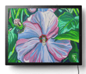 Bloom Illuminated Print