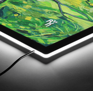 Image of Light On White Birch Illuminated Print