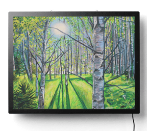 Image of Light On White Birch Illuminated Print