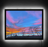 Evening Two Illuminated Print
