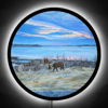 Wild Horses Illuminated Print