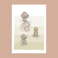 Image 1 of Jellyfish 