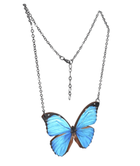Image 3 of Blue Morpho Butterfly Necklace