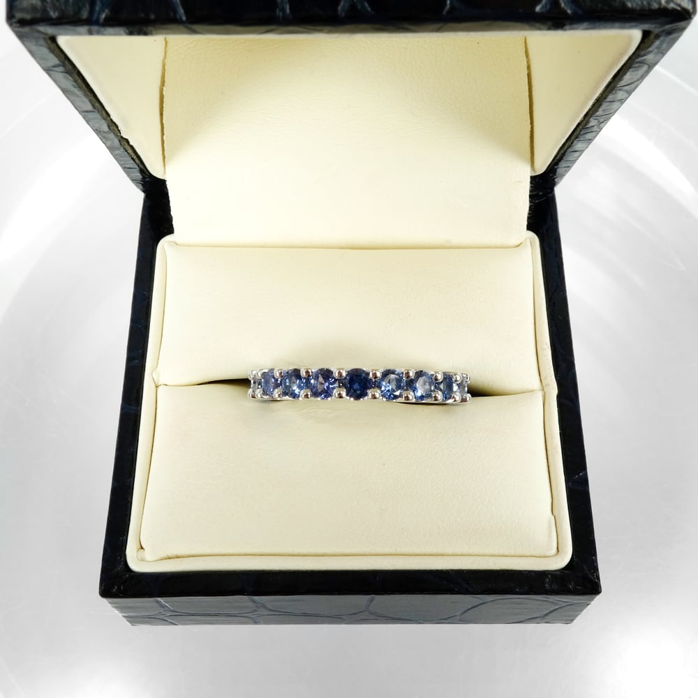 Image of 18ct white gold Sapphire full circle set ring. PJ6015
