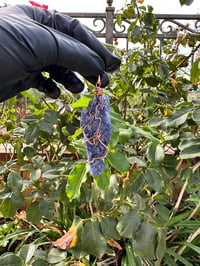 Image 4 of SODALITE WRAPPED COPPER 