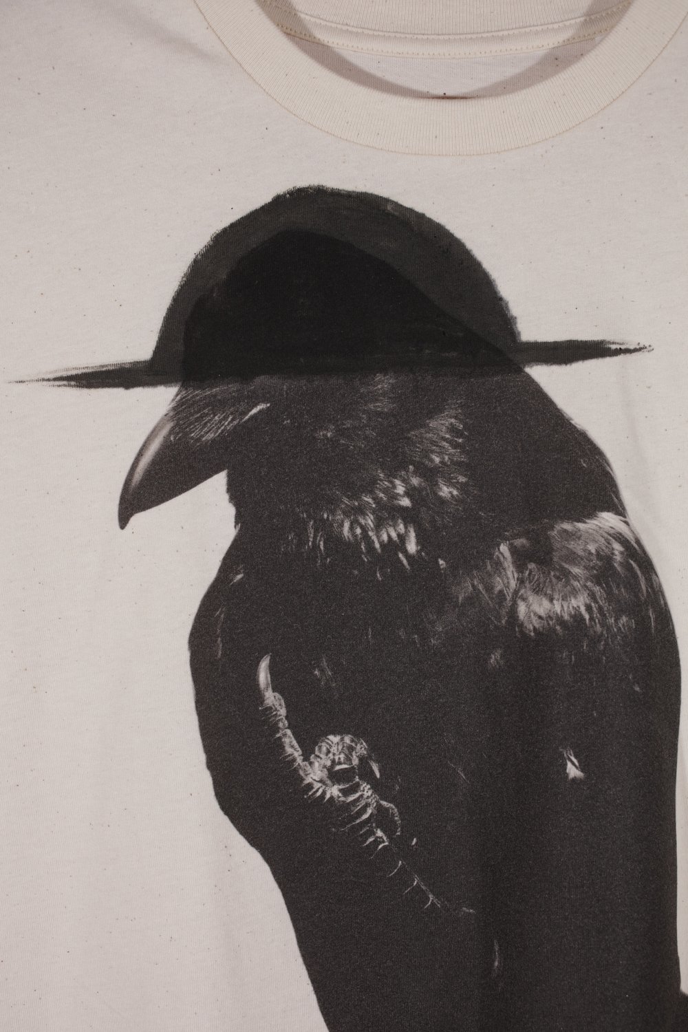 Crow with black hat