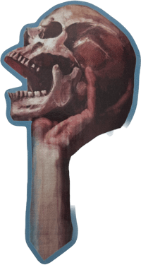 Image of SKULL sticker pack 