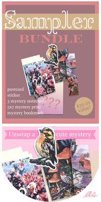Image 1 of Sampler bundle! Mystery pack prints and cards 