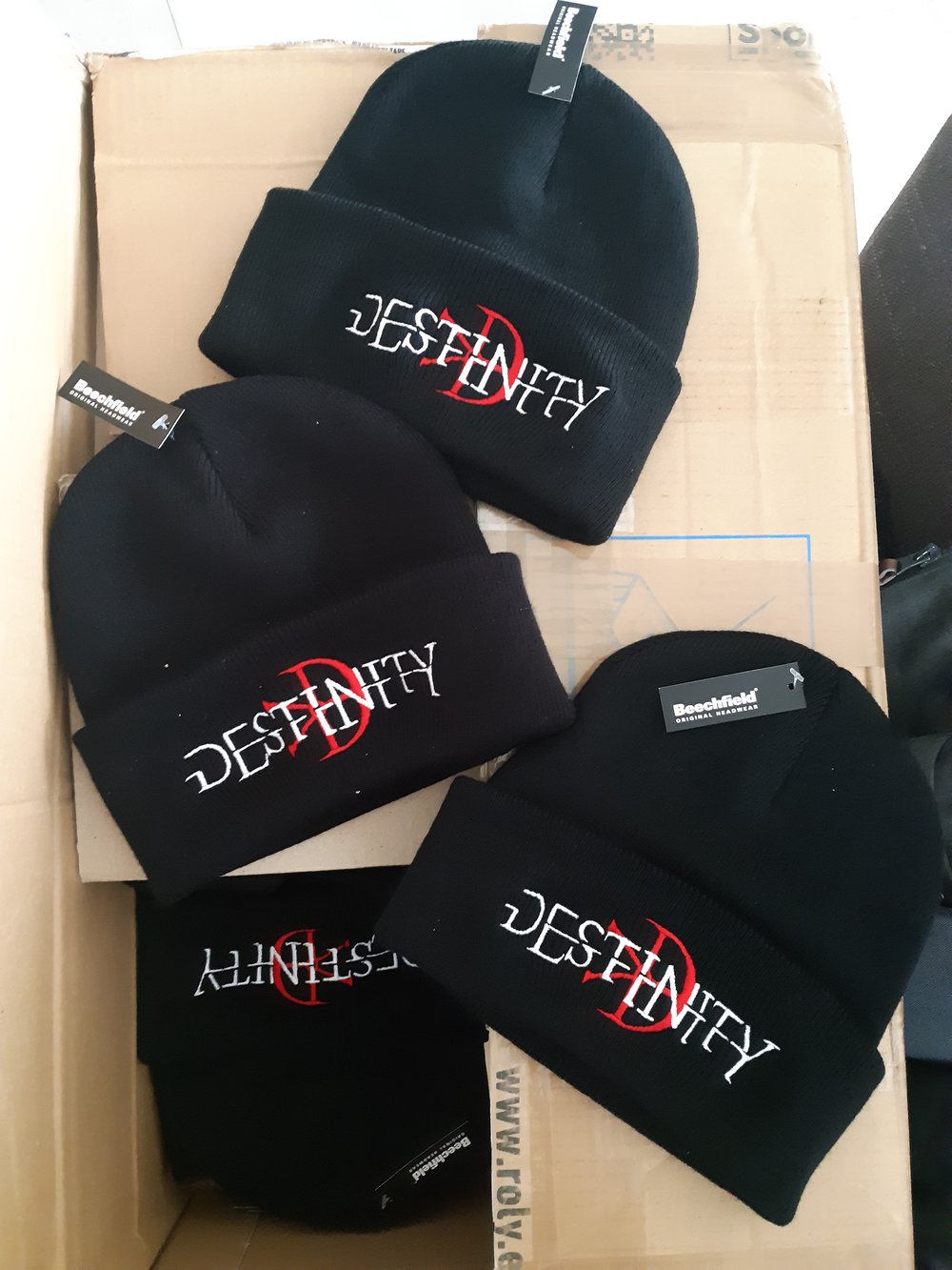 Beanie Destinity