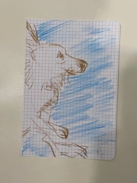 Vályi Gábor: Kutyavázlat éggel