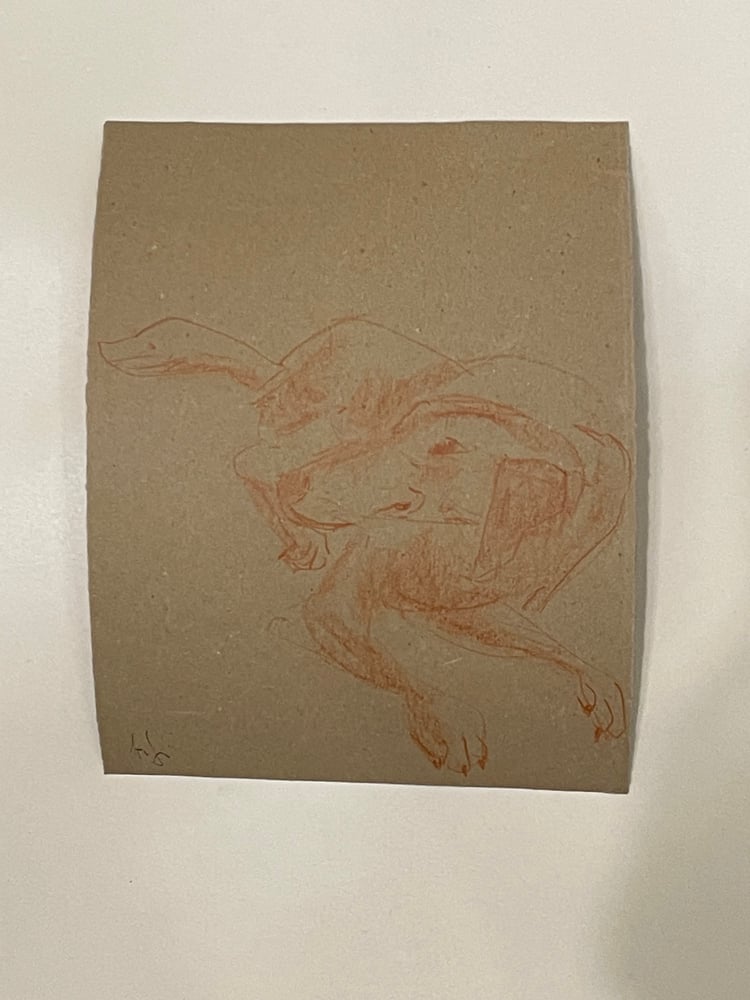 Image of Vályi Gábor: Barna kutya