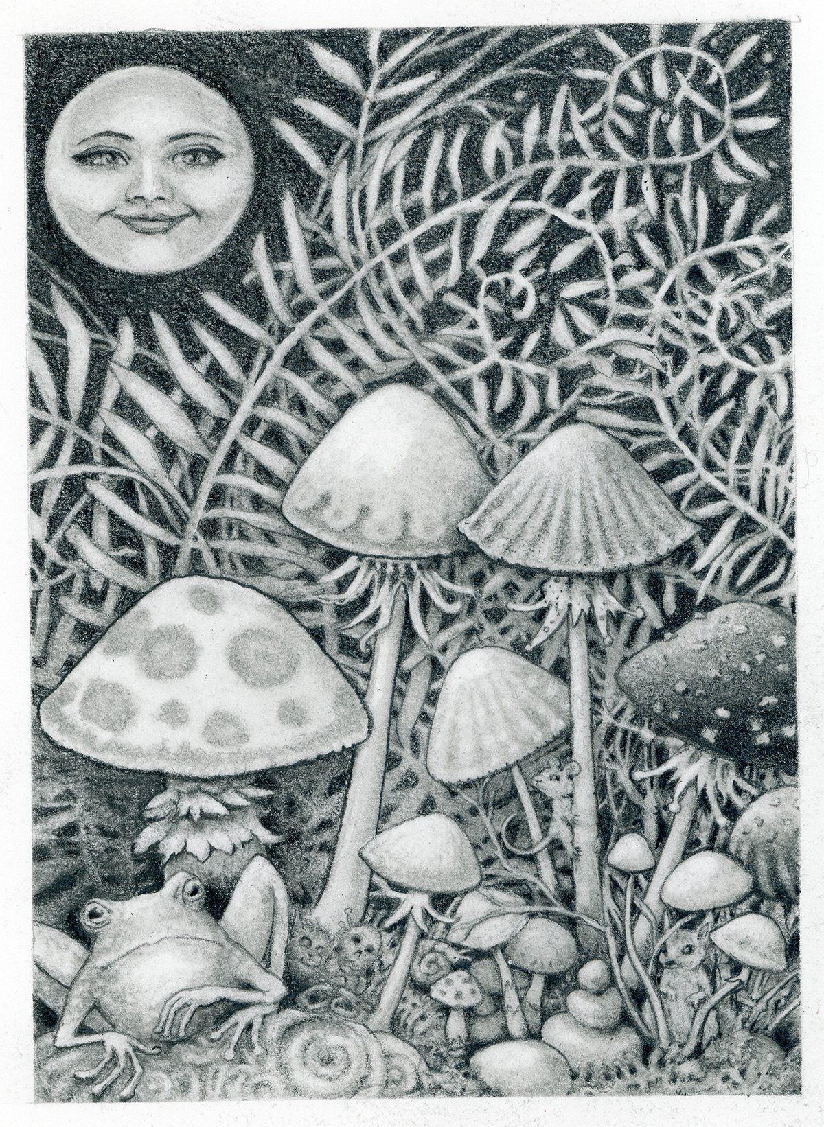 Image of Some Enchanted Evening