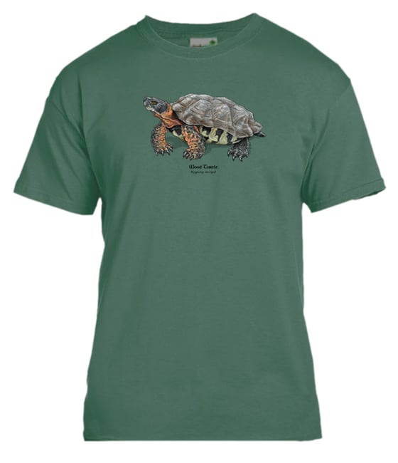Image of Wood Turtle t-shirt