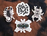 Image 1 of Sticker pack (scorpion, centipede, spider, fly)