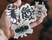 Image 2 of Sticker pack (scorpion, centipede, spider, fly)