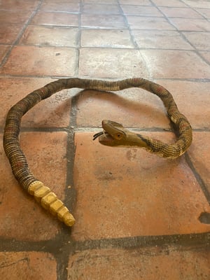 Image of For collectors//Ronny Rodriguez bottle cap snake 