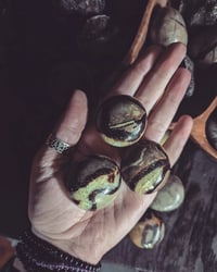 Image 2 of Septarian Palm stones 