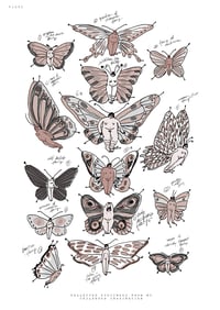 Image 2 of Pinned Fairies / Very Legit Scientific Illustration A3 RISO PRINT