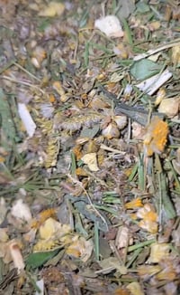 Image 4 of Winter Exhale