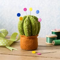 Image 1 of Cactus Pincushion Kit