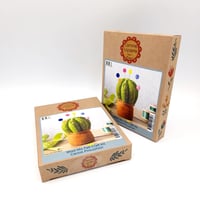 Image 3 of Cactus Pincushion Kit